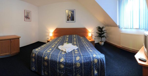 Hotel Svoboda