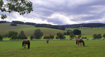 Statek Český dvůr