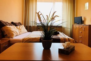 Hotel Slatina